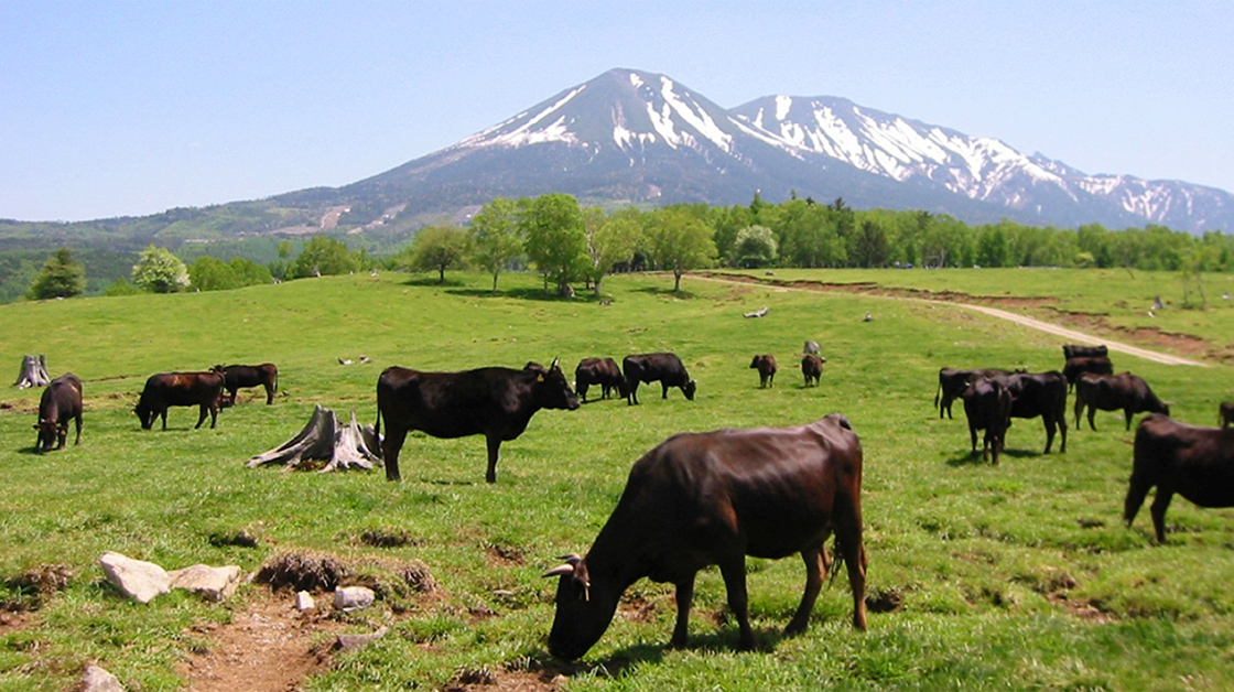 湖池屋プライドポテト 日本の神業 飛騨牛炭火焼