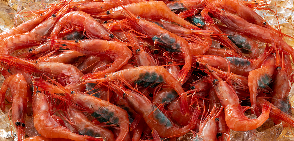 湖池屋プライドポテト 日本の神業  金沢の甘えび