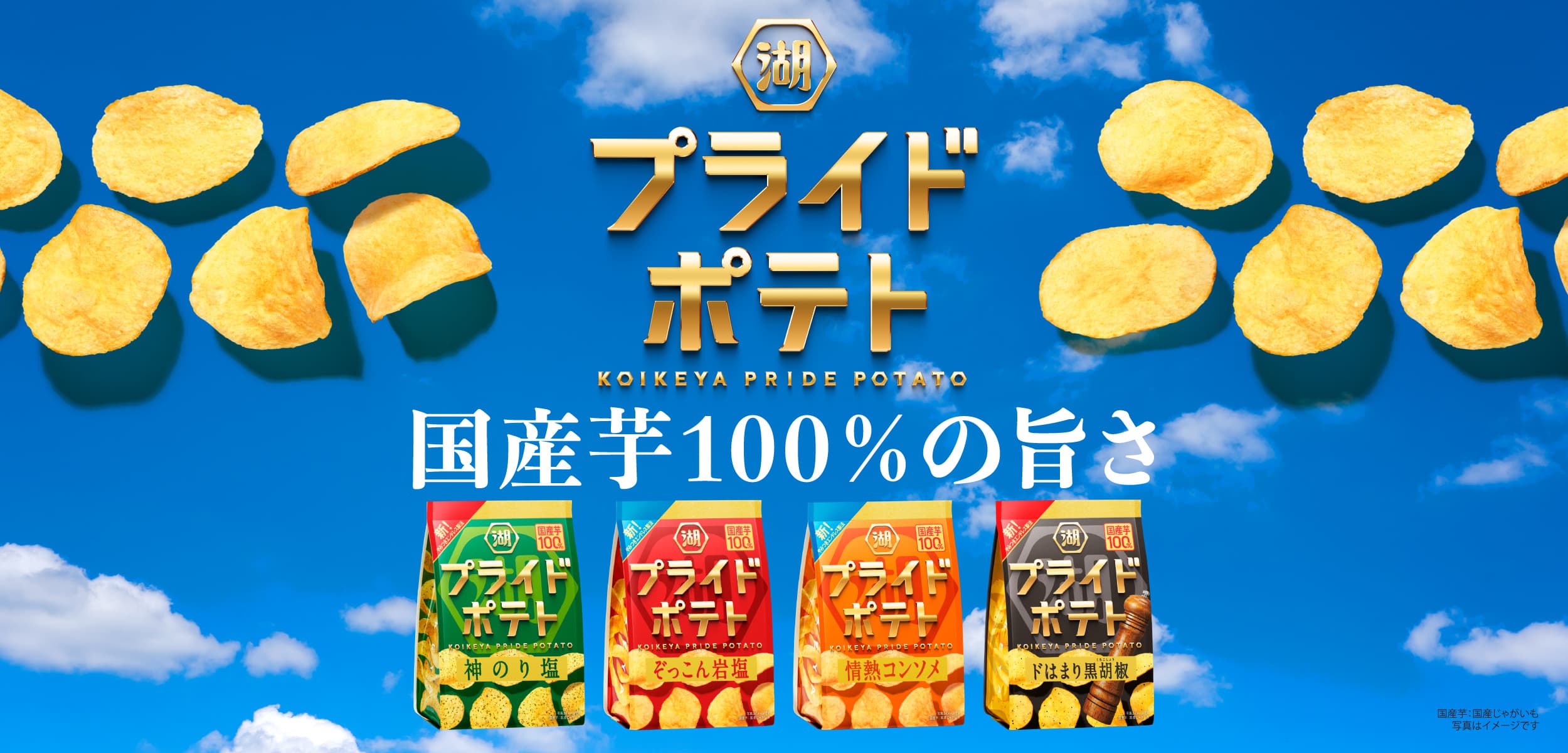 湖池屋プライドポテト