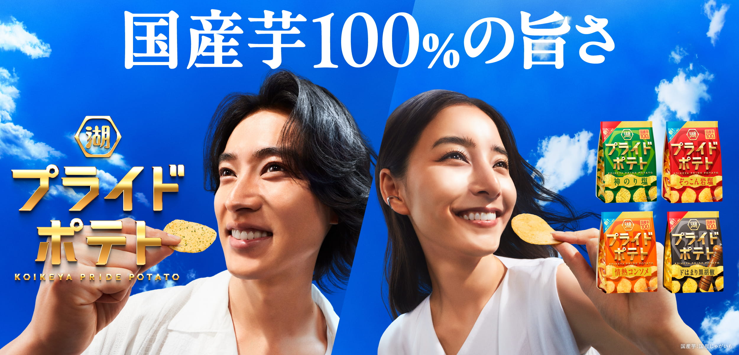 湖池屋プライドポテト
